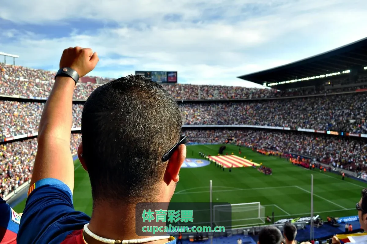 体育彩票票据与理性参与提示